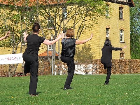 Welttaichitag-Bild